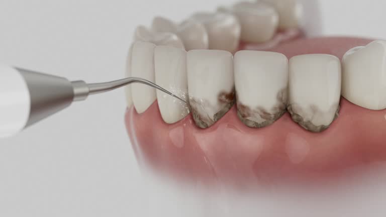 Reliable Dental contractor in St. Clair County County, AL by Dentist Open Now